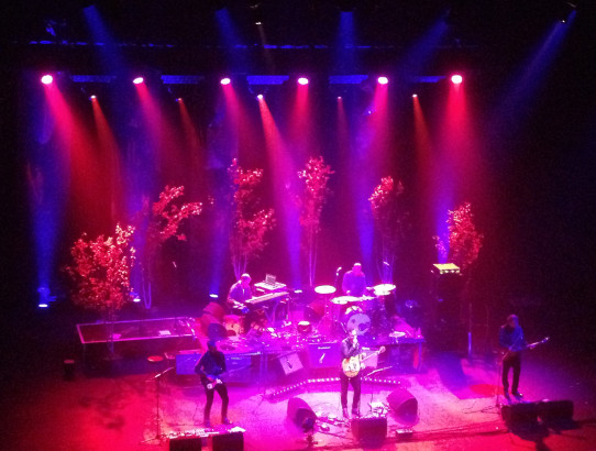 Richard Hawley singing at 02 Brixton