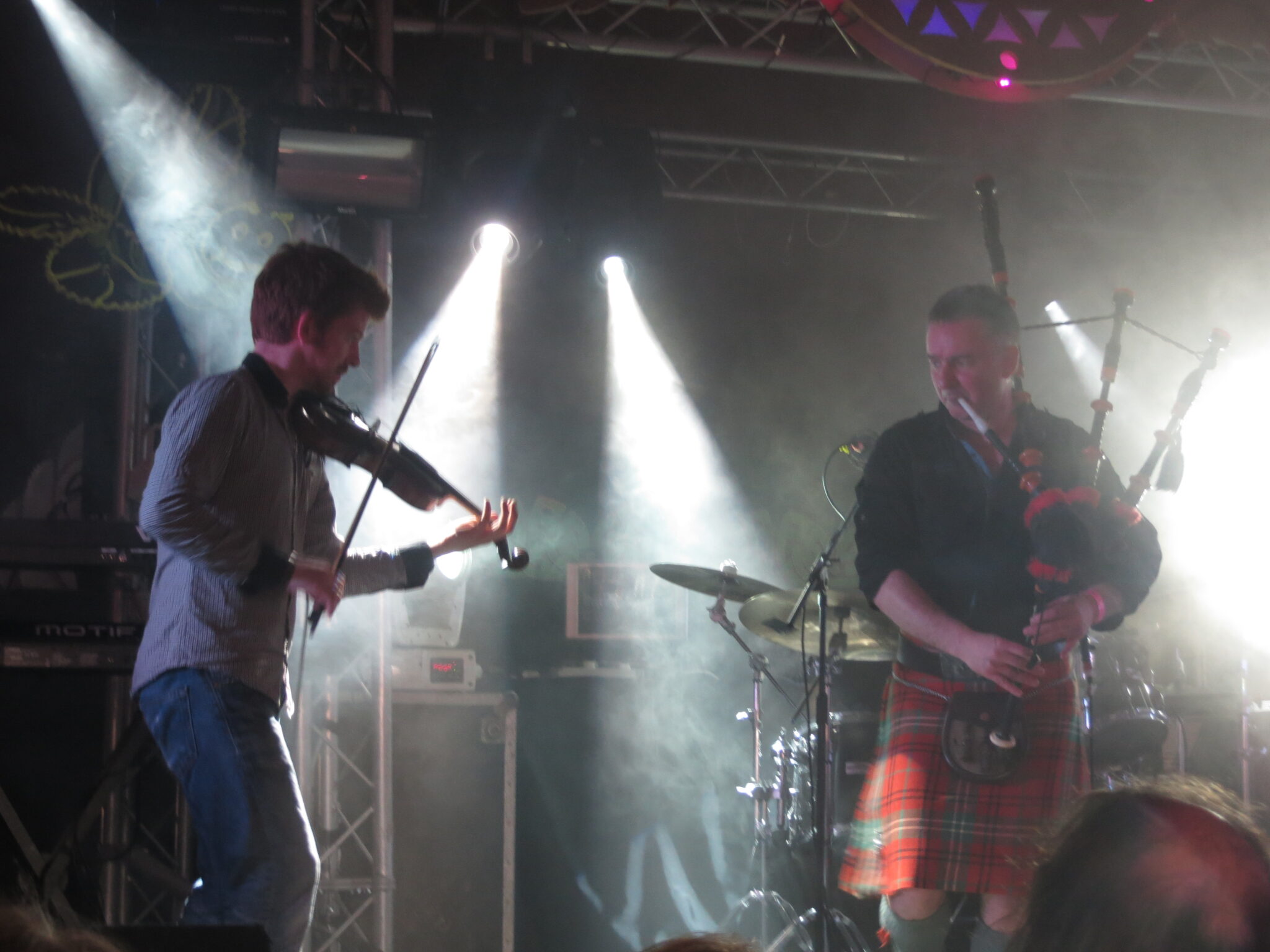 Peatbog Faeries