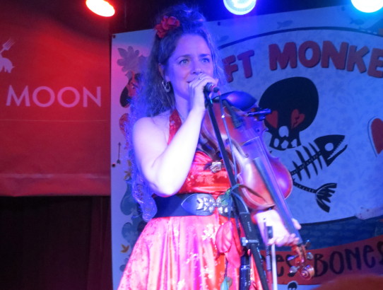 Athene Roberts, 3 Daft monkeys