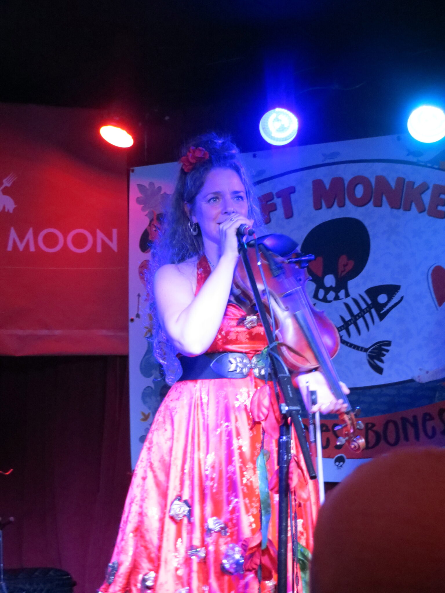 Athene Roberts, 3 Daft monkeys
