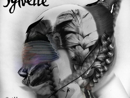 Stiller than still album cover Sylvette