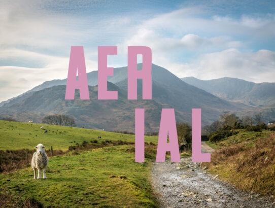 aerial festival press image