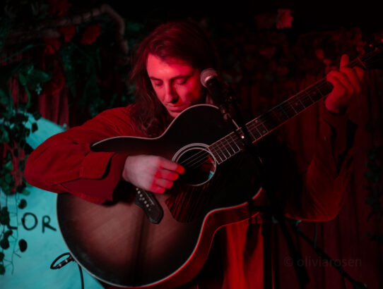 Luca Wilding on stage at Folklore