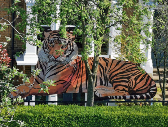Tiger installation