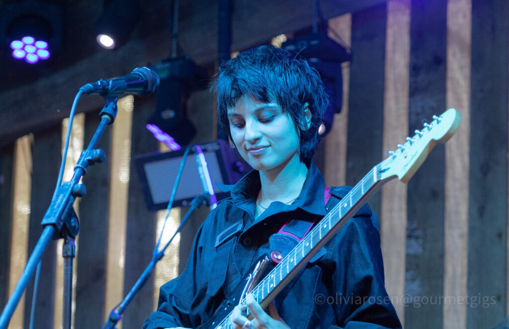 Heartworms live at Bearded Theory