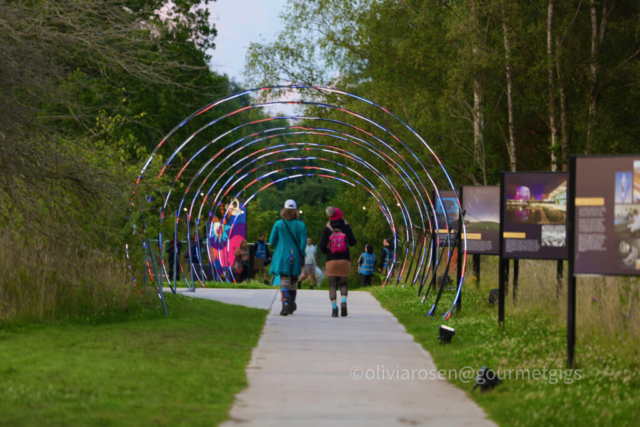 Bluedot festival 2023