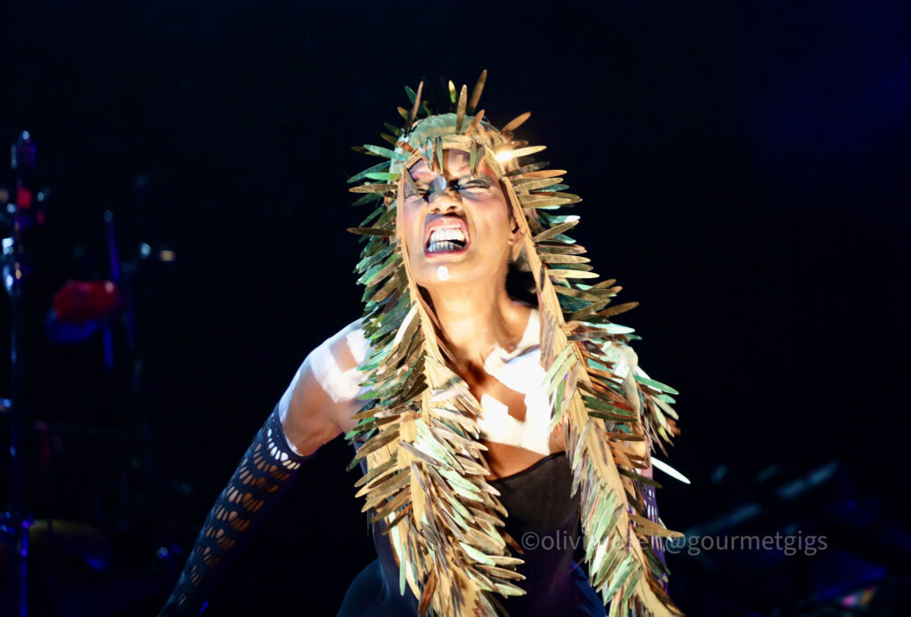 Grace jones at Bluedot