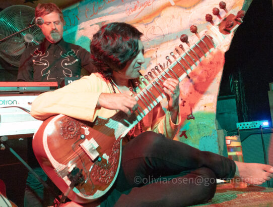 Elephant-Stone-rishi-dhir