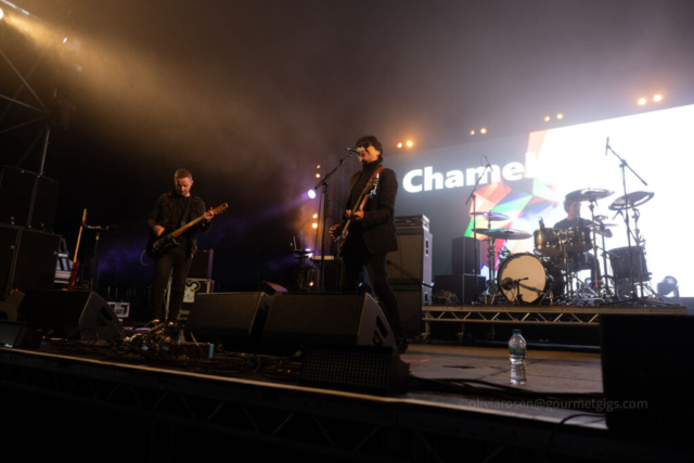 The Chameleons
