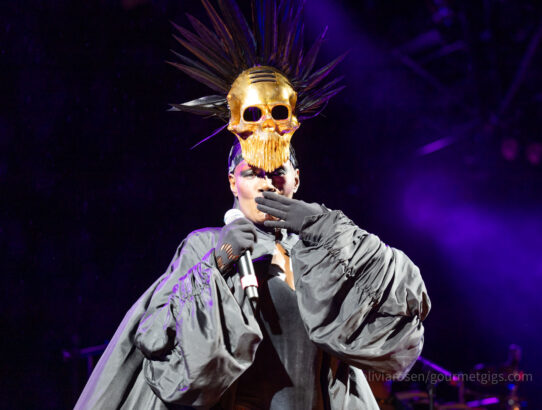 Grace Jones at Bluedot festival
