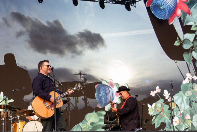 APE24 The Decemberists APE24 The Decemberists