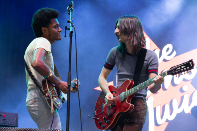 APE24 The Lemon Twigs APE24 The Lemon Twigs