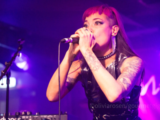 Palindrones-5 Palindrones on stage