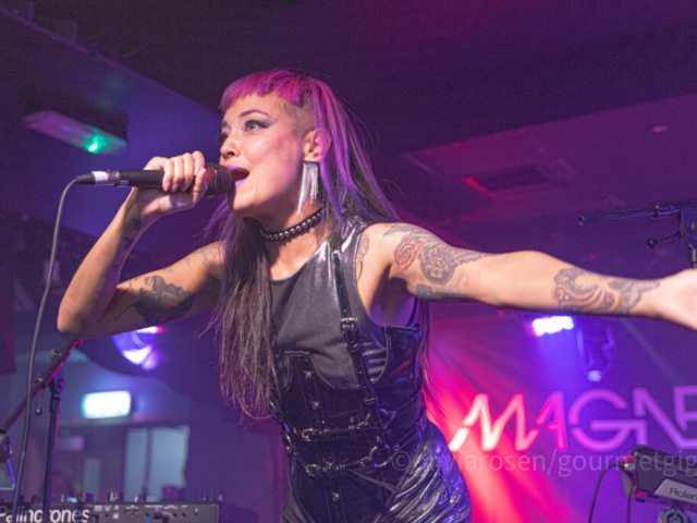 Palindrones-6 Palindrones on stage