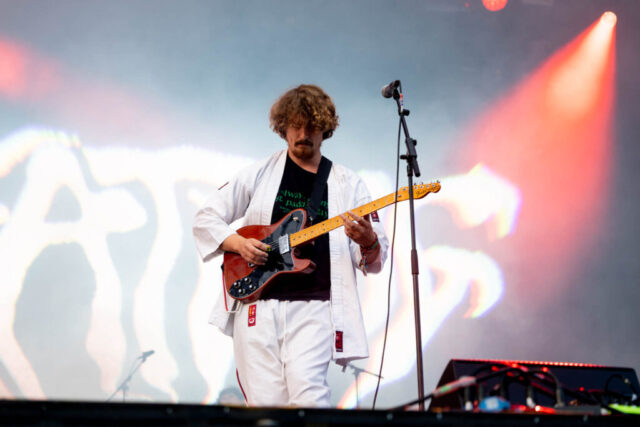 Fat dog-BT25 Fat dog-BT25