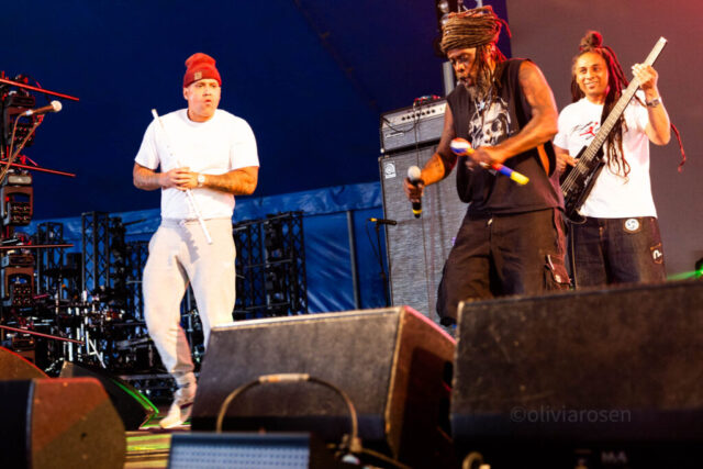 asian-dub-foundation-BT25-1