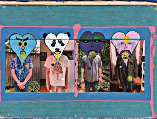 animal collective single