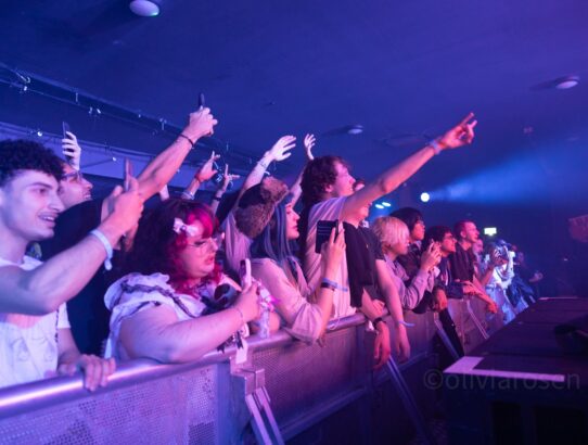 crowd shot at dalston takeover 2025